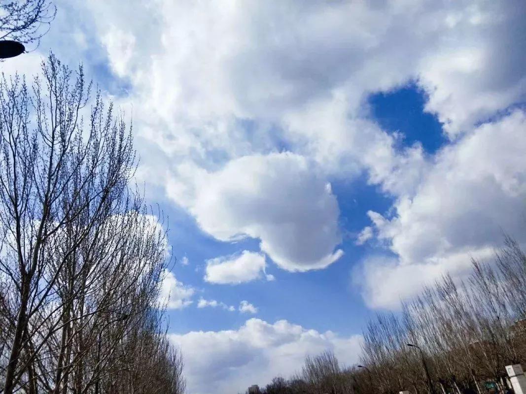 辽宁省普通高等院校,辽宁省沈阳本科大学