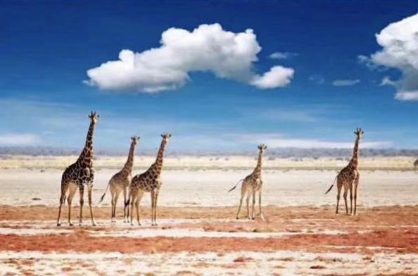 走进非洲No.338岁离开9岁女儿先生驻外中铁七局海外项目