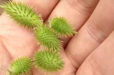 中医治鼻炎好还是西医治鼻炎好,鼻炎为什么反反复复治不好