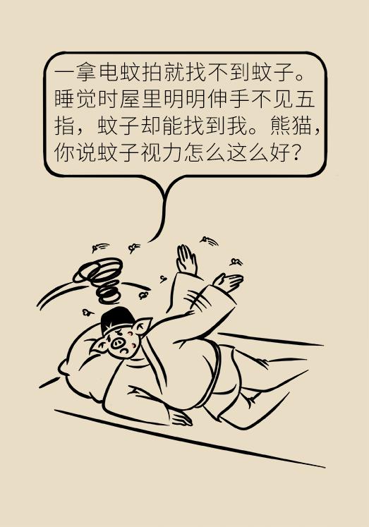 被蚊子吵得睡不着觉怎么发朋友圈,大晚上蚊子吵得睡不着怎么办