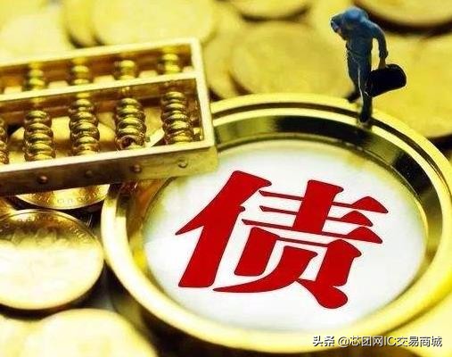 芯团网发展前景,芯团网的前景如何