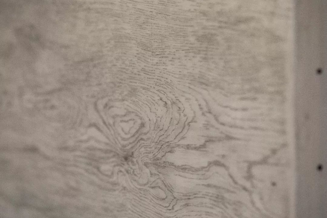 特稿|晓媛，小圆