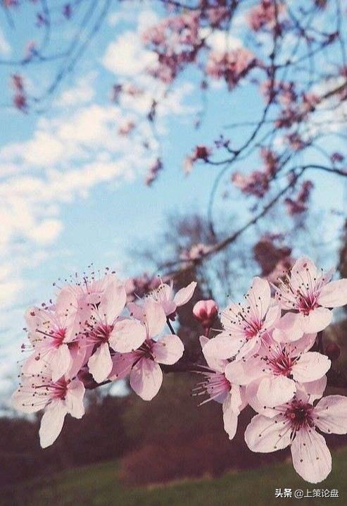 期货无敌策略,期货高手经典策略