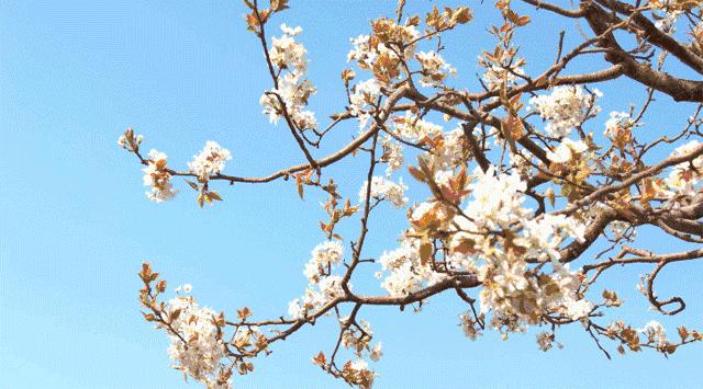 娆洪湝璧涢洩,娆洪洩璧涢湝