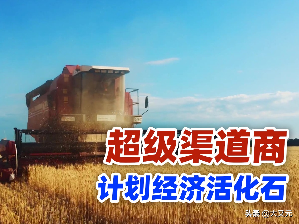 中国最顶级渠道商，却被人质疑为什么还活着，供销巨头的超级实力