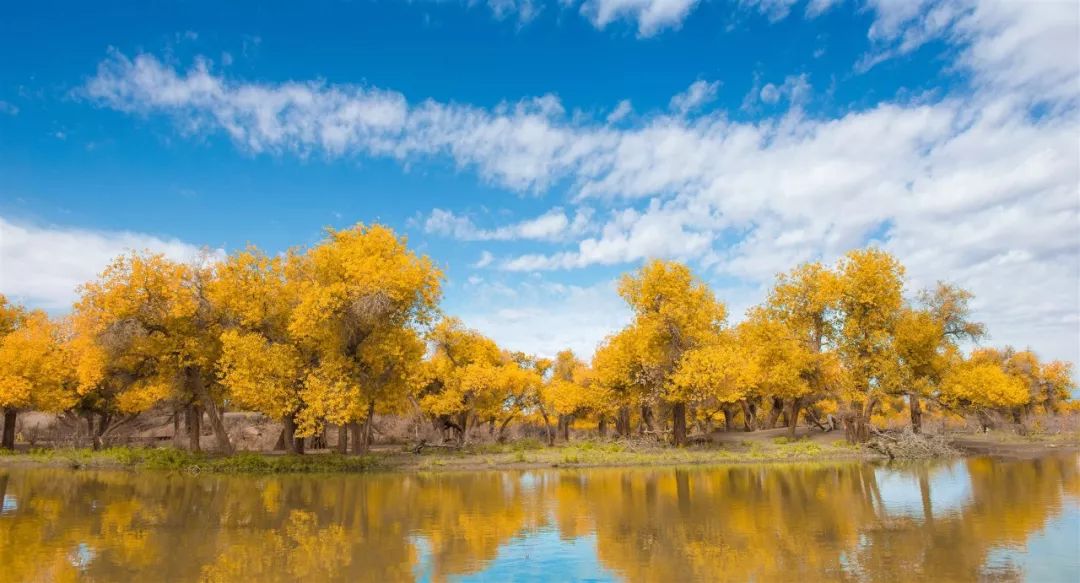国庆七天要去哪里玩啊,国庆节七天怎么过不能出去玩