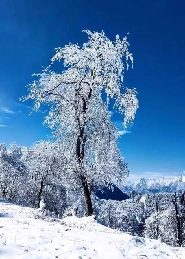 成都周边春节滑雪泡温泉,成都可以玩水也可以玩雪的地方