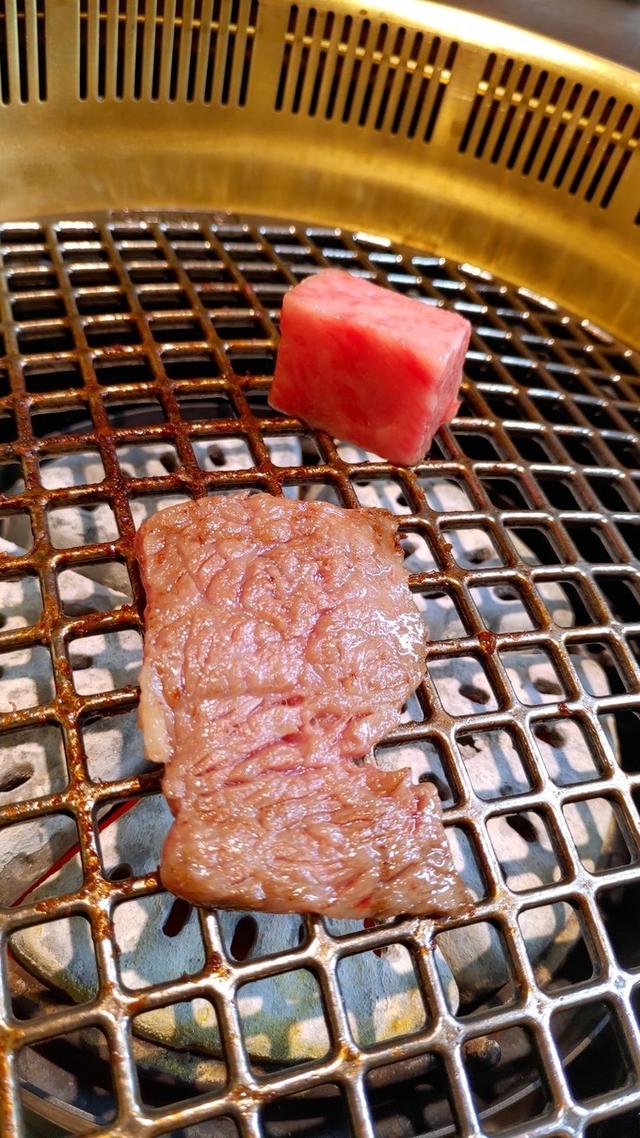 景点打卡日本名古屋乐高公园,日本名古屋乐高公园