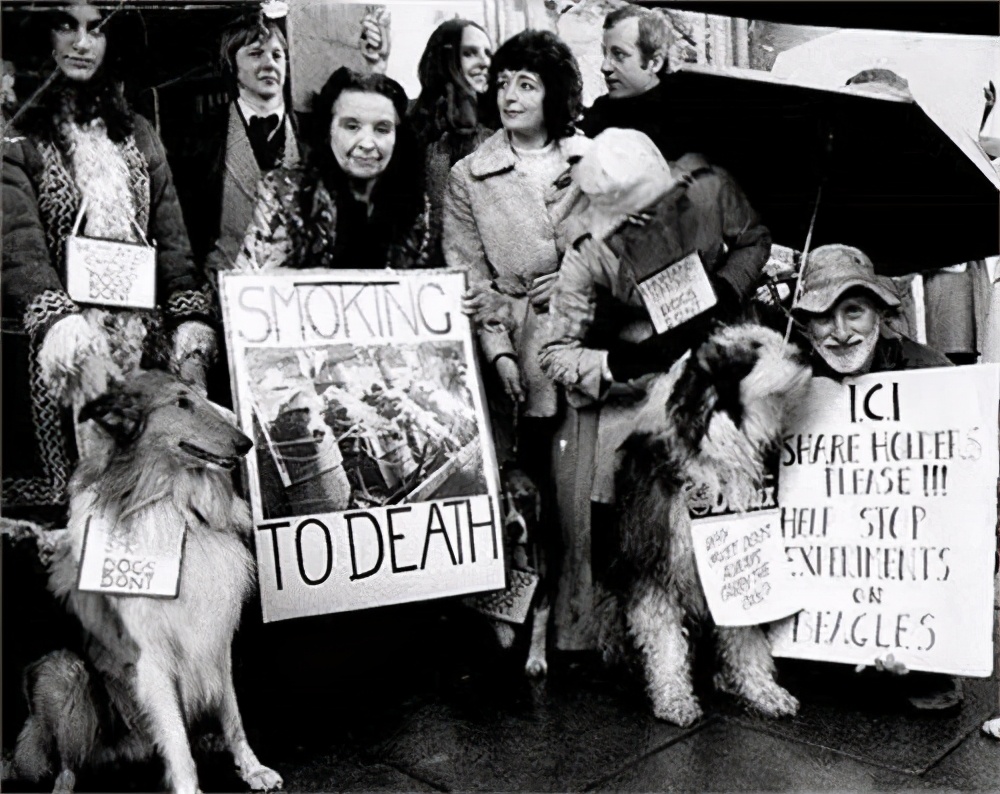 英国*草烟**商想证明香烟无害，每天给狗抽100支，3年后结果如何