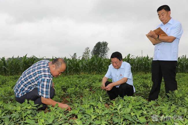 基层法庭巡礼报道,基层法庭巡礼讲解