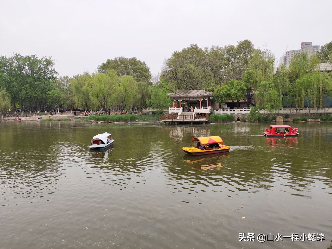 长安公园不愧是石家庄公园老大，牡丹花开真国色,游人如织来长安