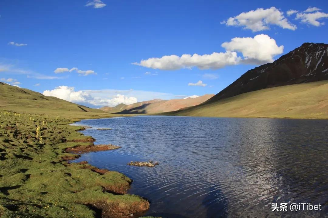 中国第一部羌塘无人区纪录片,史上第一部拍摄羌塘无人区纪录片