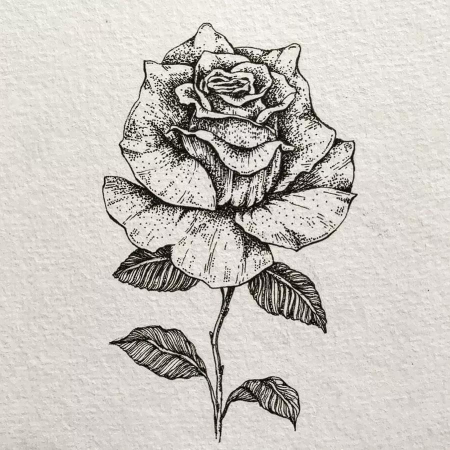 一看就懂的针管简笔画,针管笔入门手绘1000例临摹图