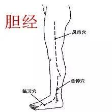 塑形背部按摩手法,塑形按摩手法视频教程