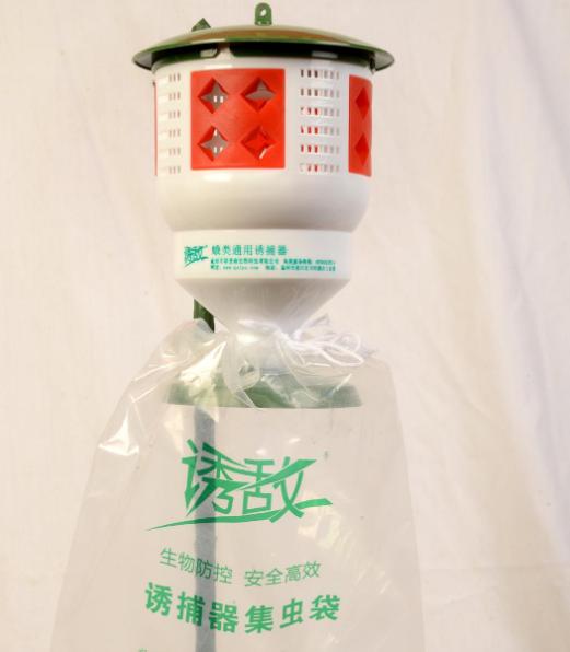 德国蜜蜂养殖技术方法有哪些,蜂眼看世界完整视频