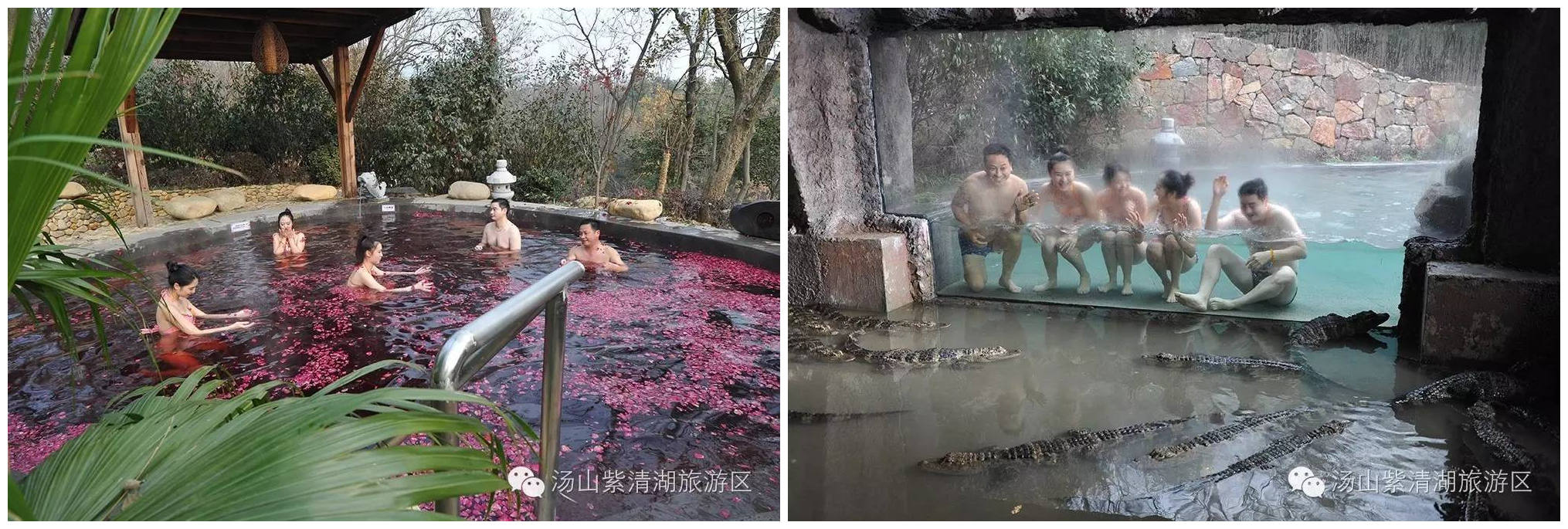 紫清湖森林温泉,紫清湖温泉免费