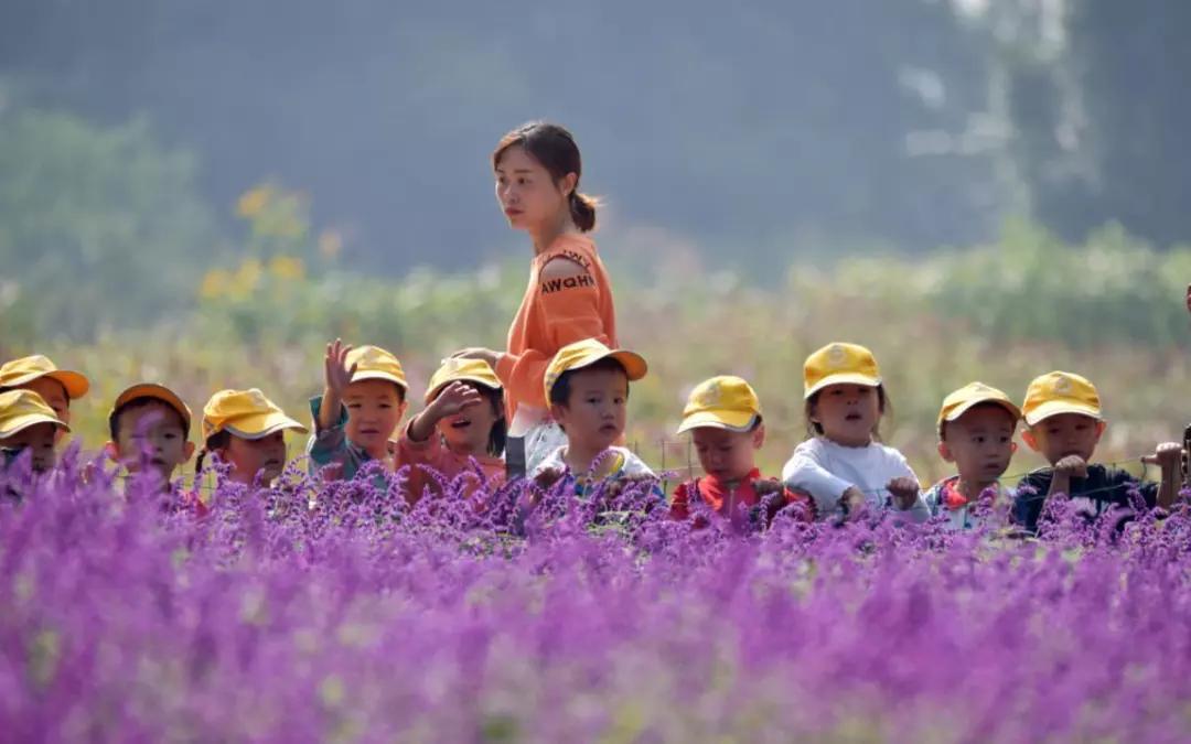 联合推送丨绿心乐心，人人关心——部门网友话绿心