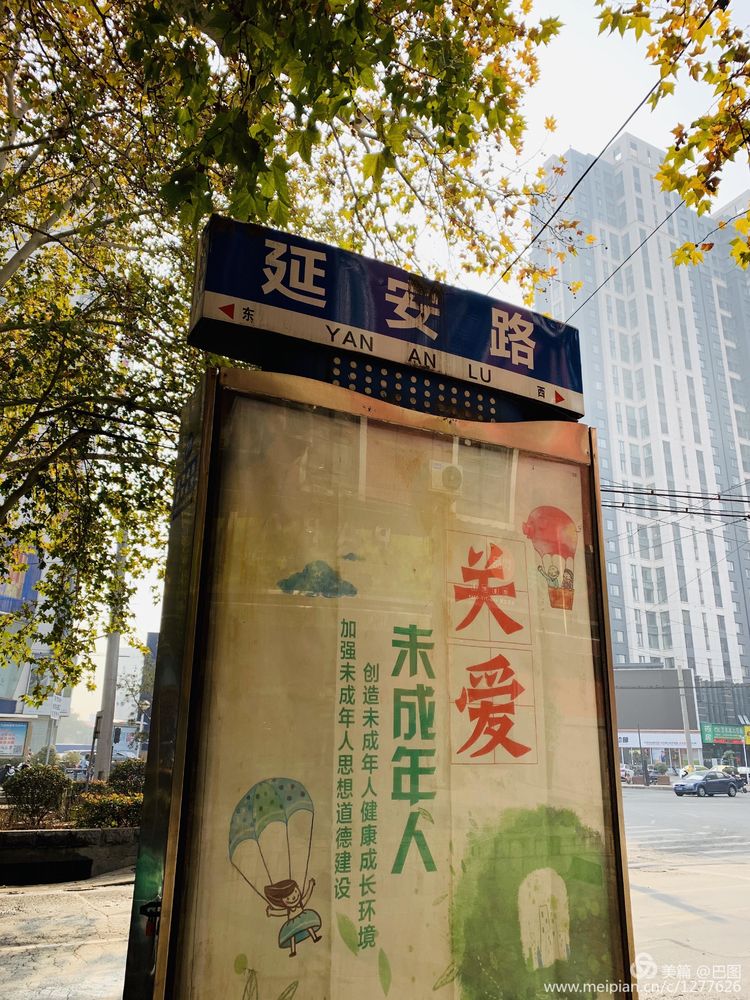 涧西牡丹广场老照片,洛阳牡丹手机拍照