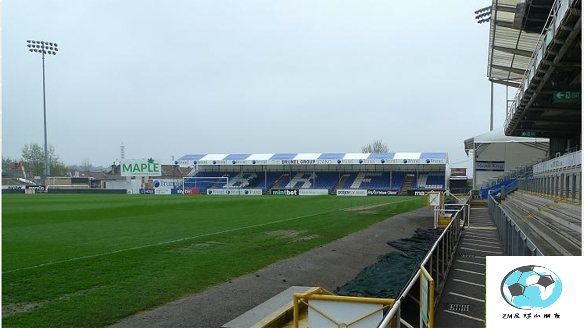 涨知识故事100例,涨知识篇