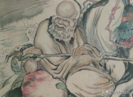 眉毛长短有什么意思,眉毛一根长能担万担粮什么意思