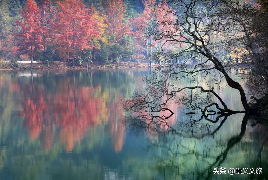 领略赣州市迷人的风景,赣州附近的世外桃源