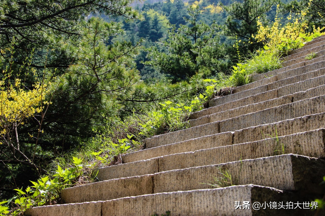 泰安泰山区天烛峰路,山东泰安泰山风景区天烛峰