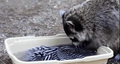 琛f湇鍐呮按娲楁爣娌℃湁鎵ц鏍囧噯,娲楁按鏍囧織瑙勫畾鍑犱釜