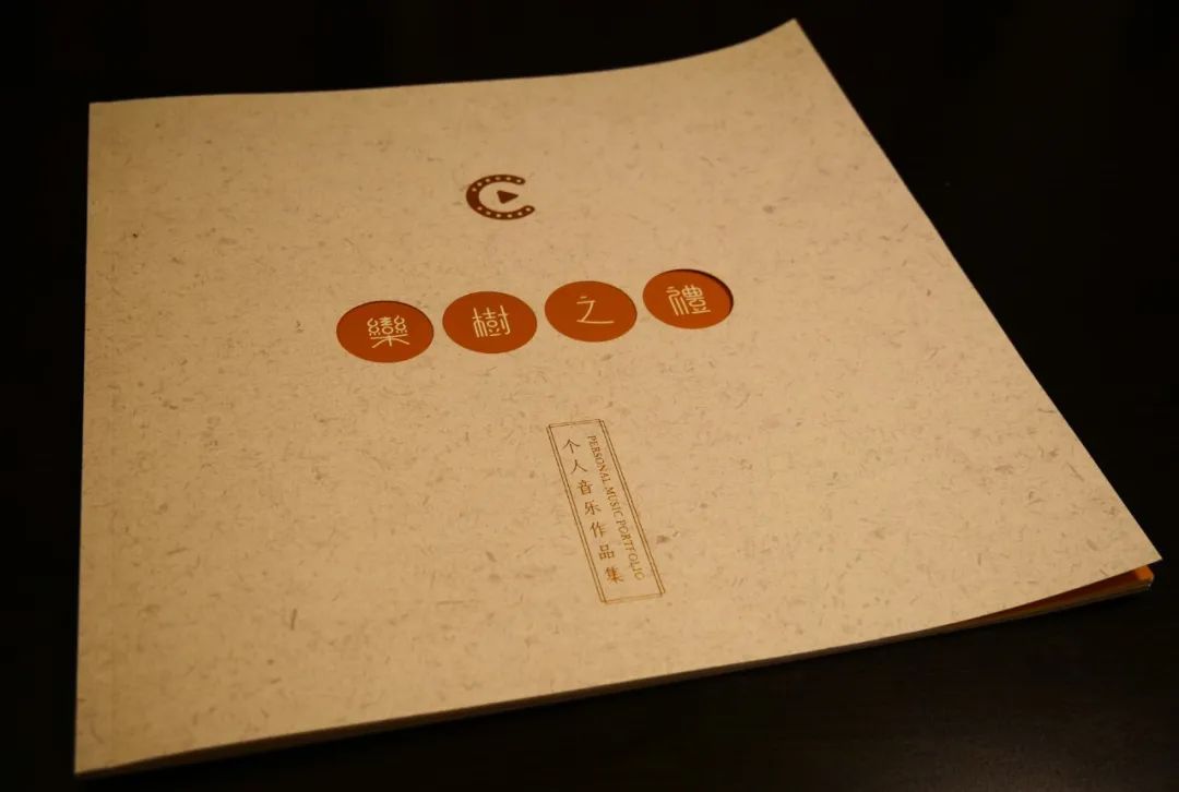 采访朴树完整版歌词,采访朴树唱的歌