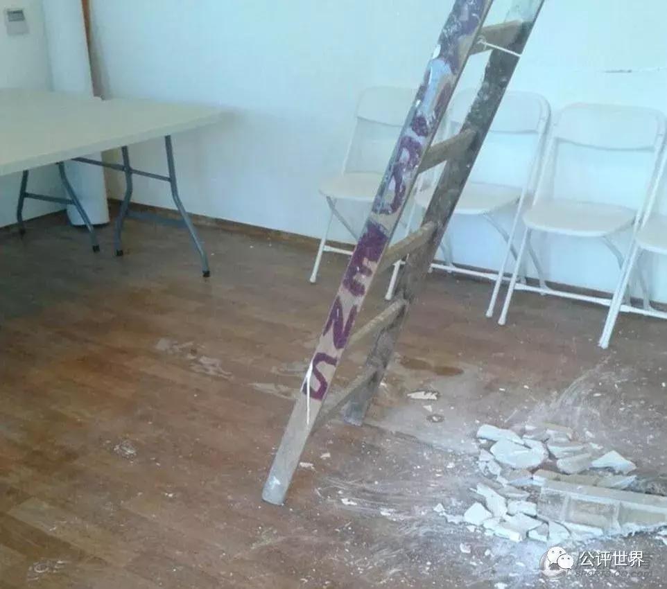 一只蝴蝶扇动翅膀引发龙卷风,南美洲的蝴蝶扇动翅膀引起龙卷风