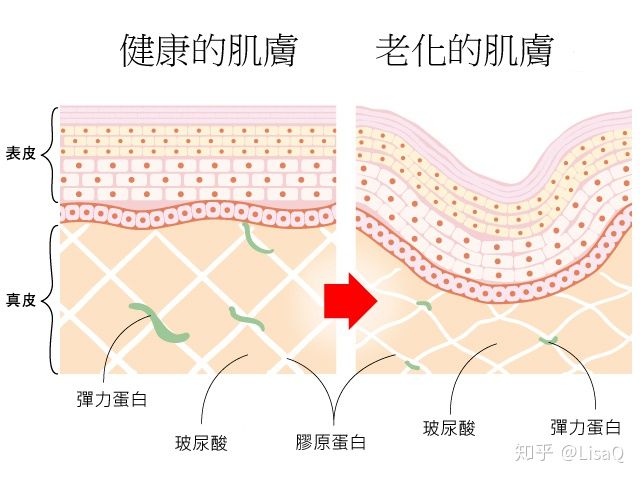 眼霜为什么都比较贵,眼霜有必要买贵的