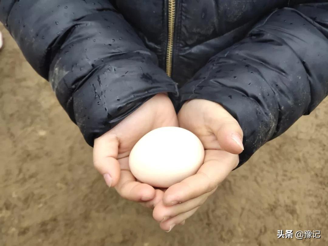 民权不能办房产证的小区,民权不让骑三轮车四轮车了吗