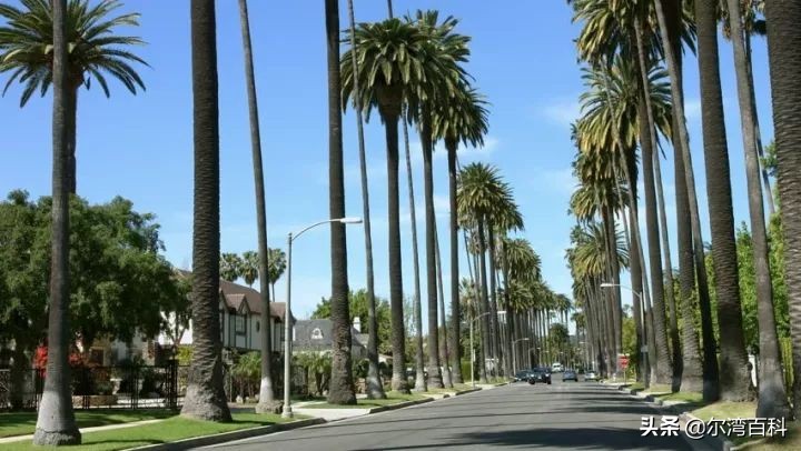 美国房产洛杉矶,美国洛杉矶比佛利房产