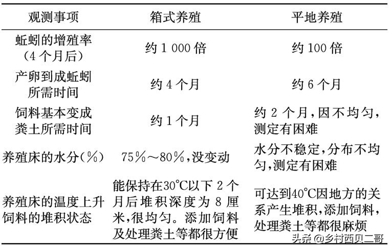 牛蛙的养殖技术及方法简介,牛蛙养殖的最新技术