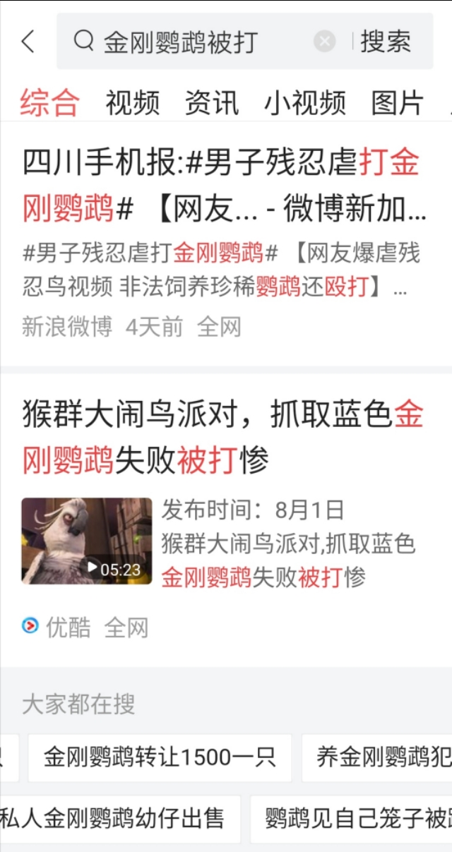 到底什么原因主人对金刚鹦鹉拳打脚踢，竟是金刚鹦鹉大声尖叫