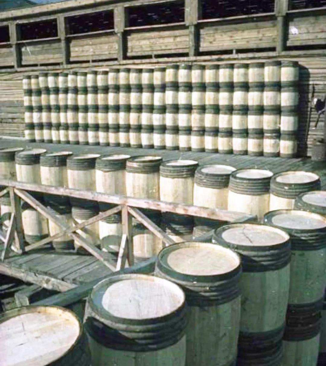 贵比黄金，俄国黑帮盯上他了|地球知识局