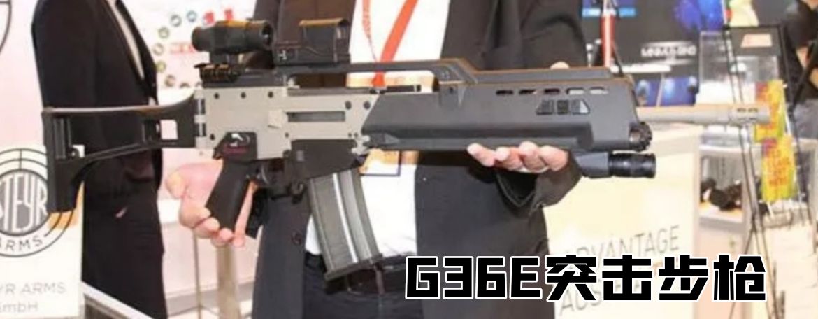 英国枪史图册全篇,德国枪图片