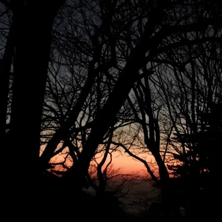 抖音做完酒店，又开始做旅行社“*梦春**”