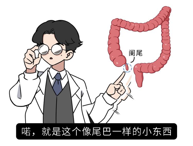 急性阑尾炎疼到什么程度,急性阑尾炎为什么那么急