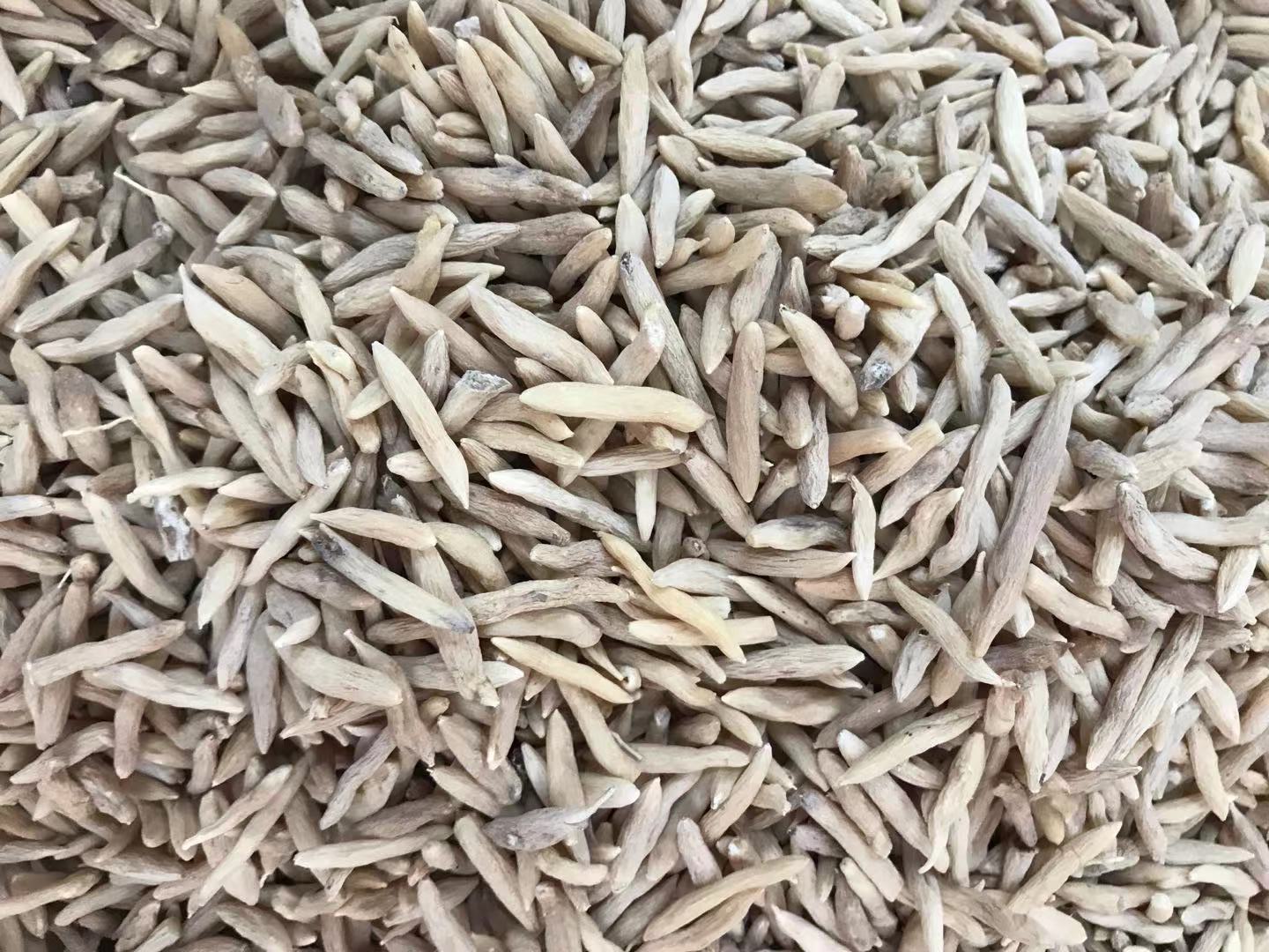 麦冬清肺养阴止咳,滋阴降火麦冬