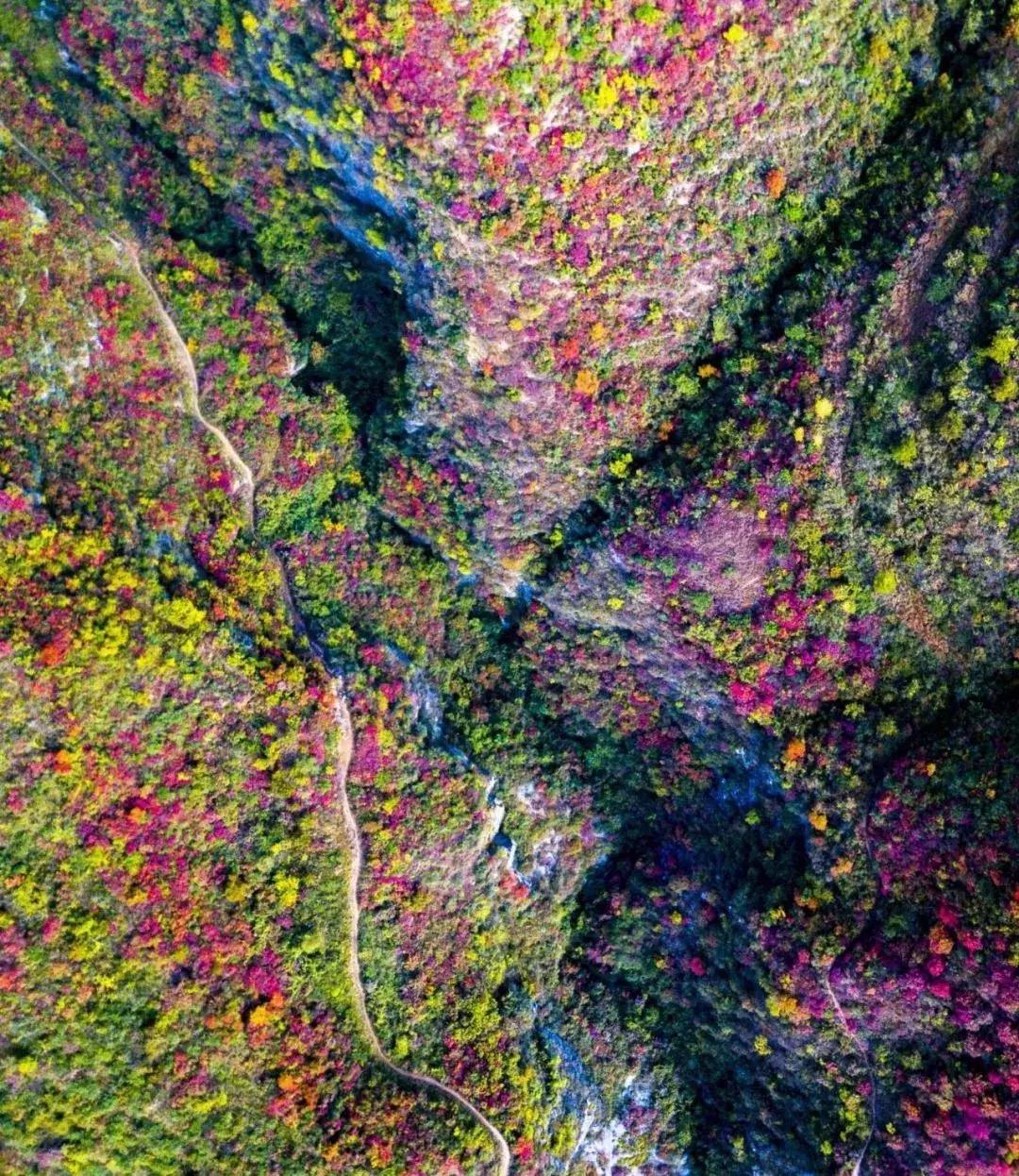 中国“林海”，你可能还不知道，这是一个低调很久了高颜值县城！