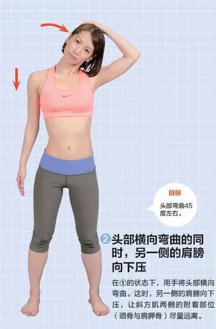 初学者如何进行拉伸,手把手拉伸