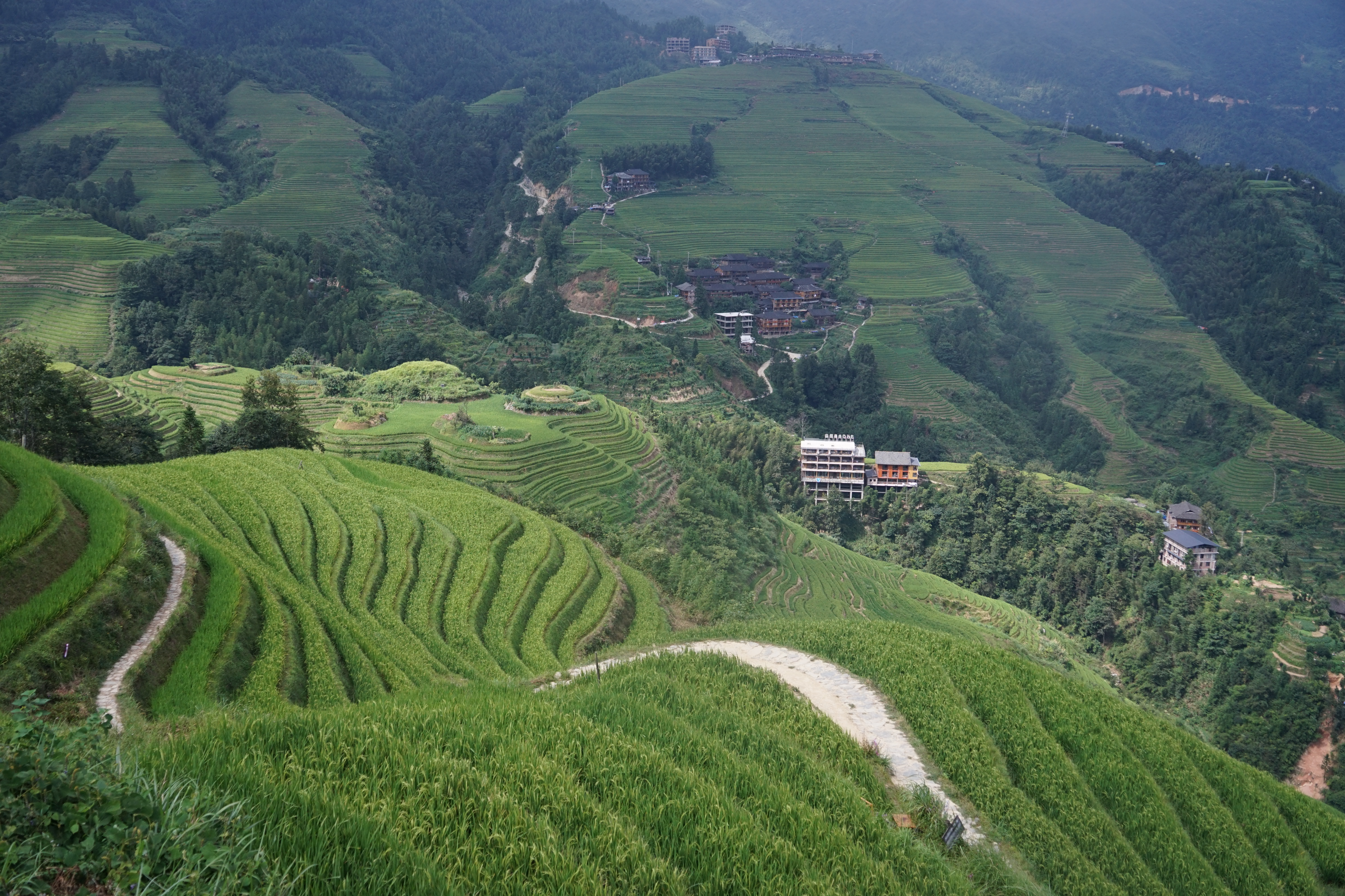 桂林三天两夜旅游龙脊梯田,桂林龙脊梯田避坑最全攻略