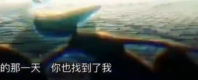 瀹濆彲姊﹂澶寸ぞmv,楠ㄥご绀惧疂鍙ⅵ