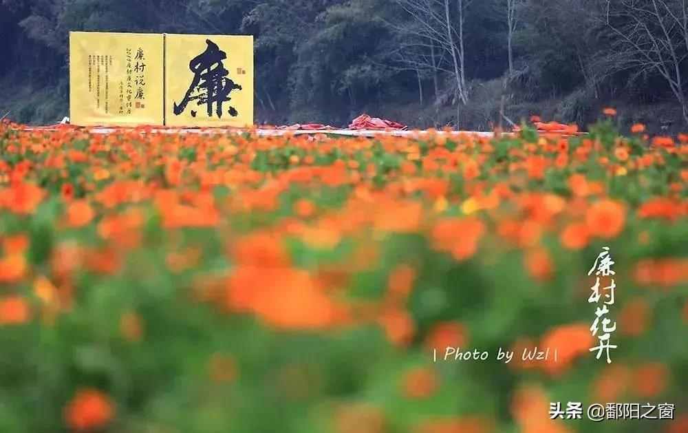 去黄山不爬黄山攻略,不爬黄山去黄山周围旅游