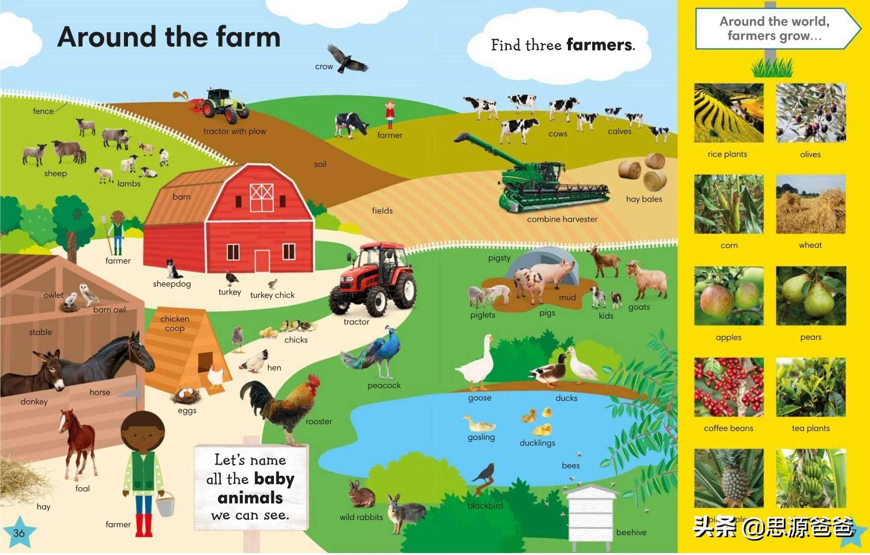 英语培训机构内训课程,英语培训教材推荐