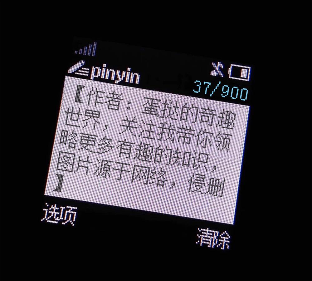 文能提竿安天下，武能执叉斗鳄鱼：鱼竿在手，万物皆有？