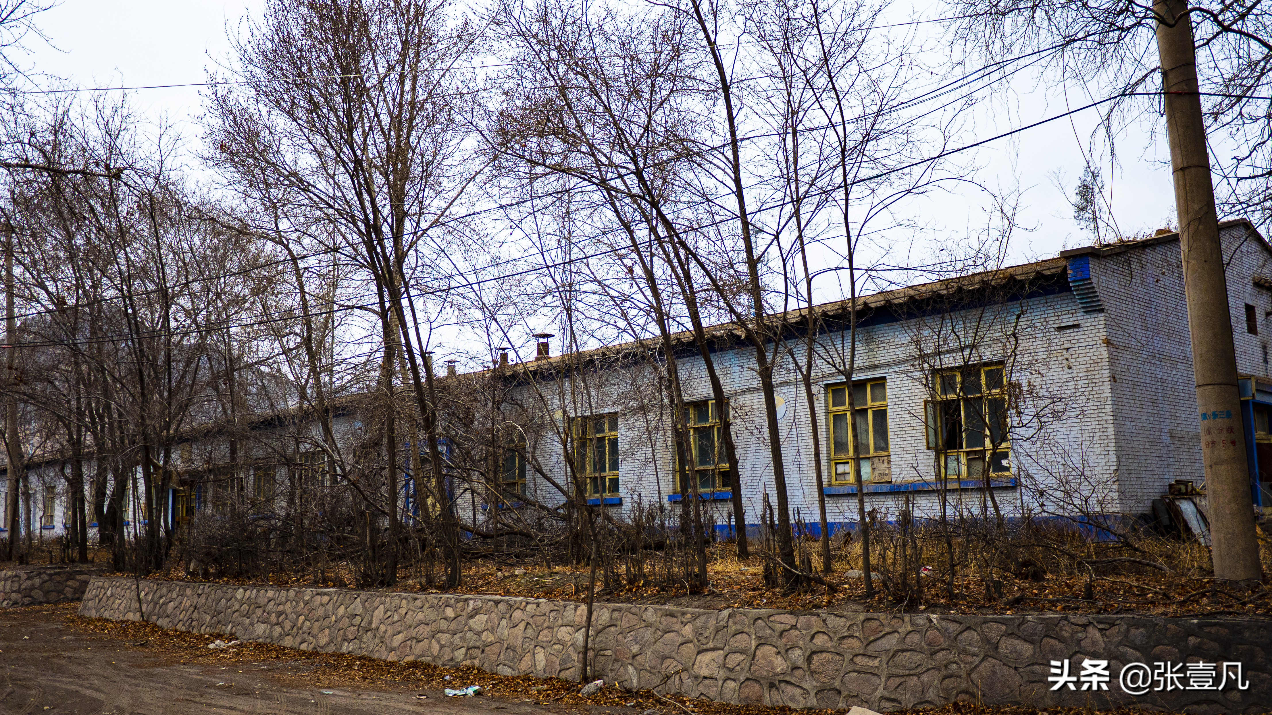 青海铸造厂建厂五十周年聚会,老青海铸造厂