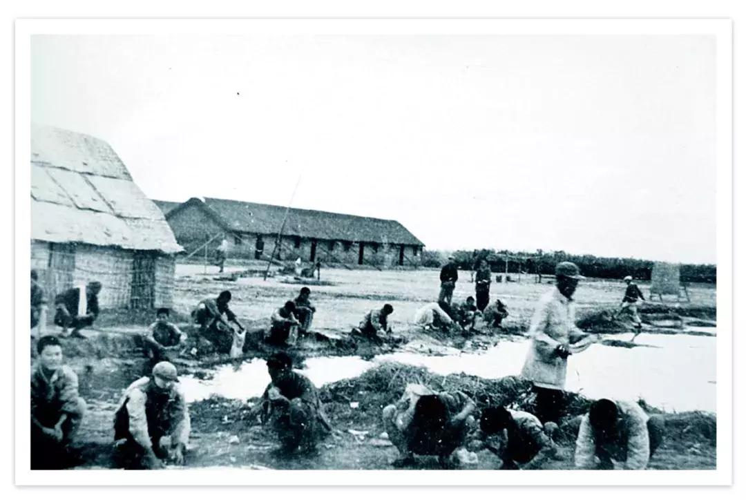 盐城大丰农场上海,盐城大丰生态农场