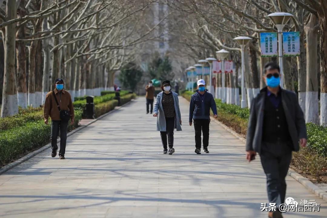 天津新开放的公园,天津水西公园现在恢复开放了吗