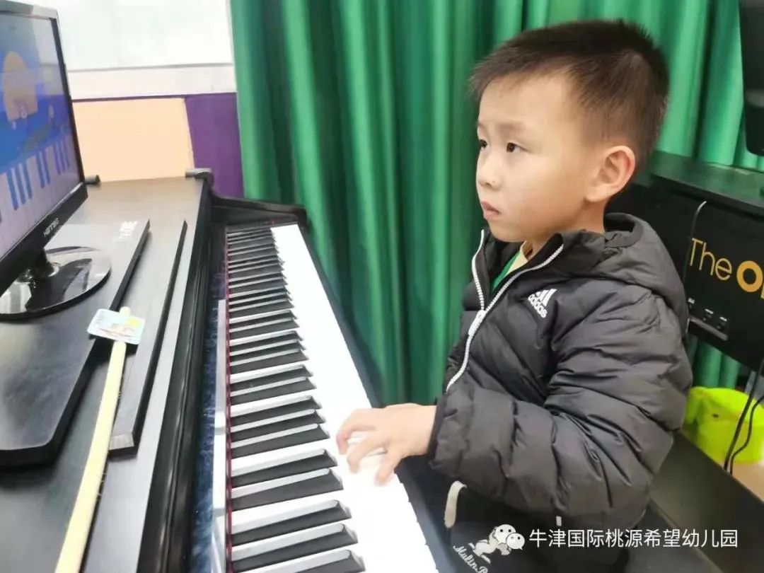 常德桃源红岩小学一年级招生条件,常德桃源文星小学招生条件